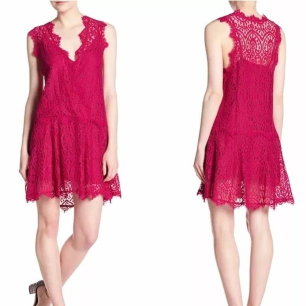 NWOT Free People Heart in Two Pink Lace Mini Dress